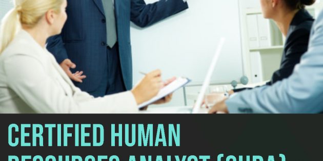 Human Resources Analyst Certification (AVAILABLE ONLINE)